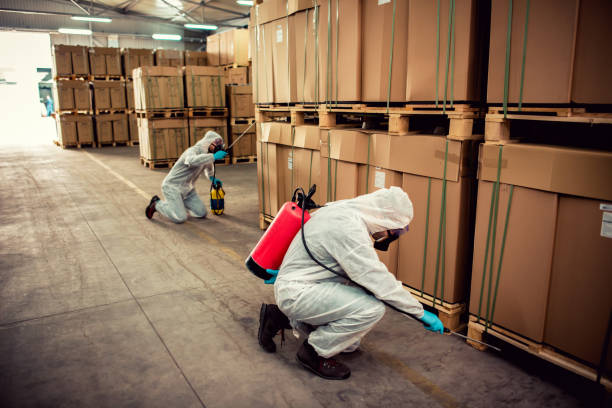 Best Pest Inspection Near Me  in Charlestown, MD