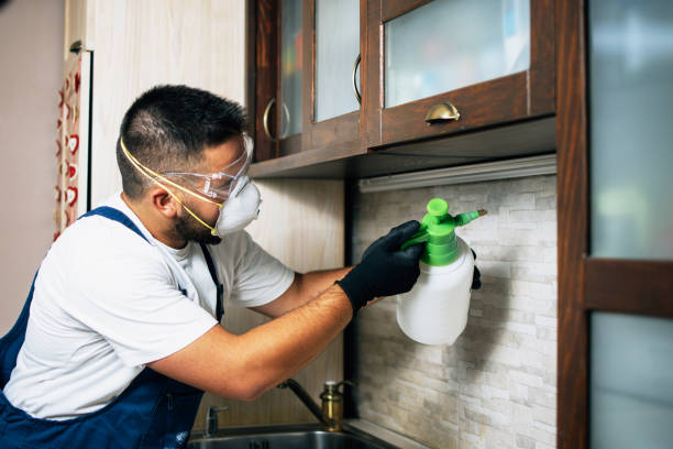 Best Pest Inspection Near Me  in Charlestown, MD