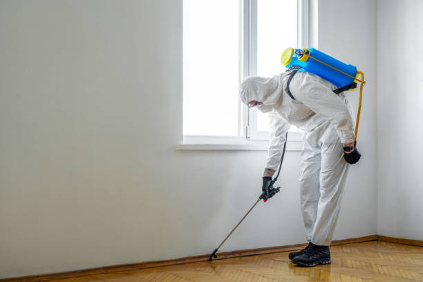 Best Pest Control Near Me  in Charlestown, MD
