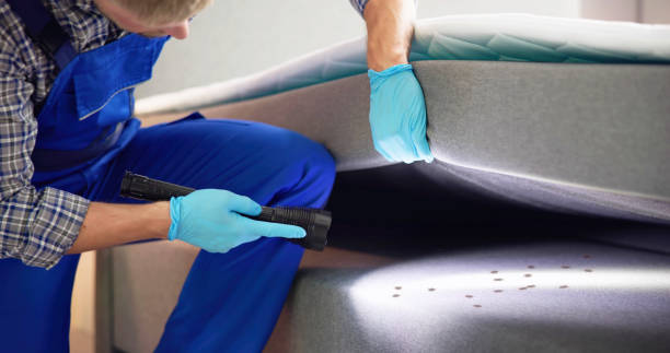 Best Pest Prevention Services  in Charlestown, MD