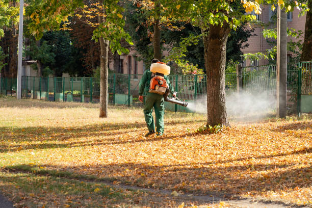 Best Commercial Pest Control Services  in Charlestown, MD