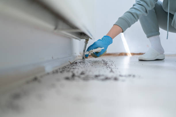 Best Exterminator Services  in Charlestown, MD